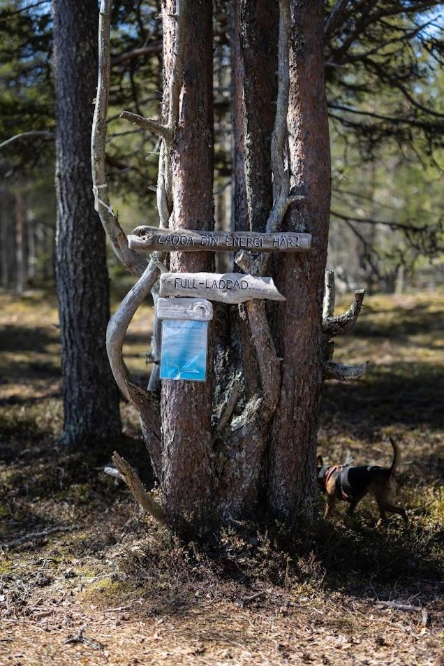 Nordic Lapland Frevisoeren Batskarsnas Exterior foto